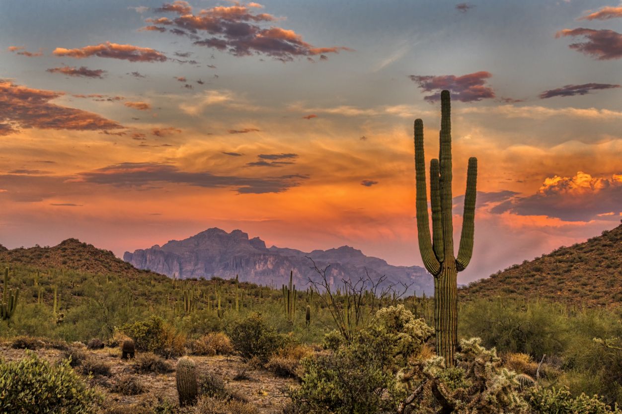 The 10 Most LandlordFriendly States in 2023